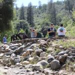 IMG_7690 (May 28, 2024)